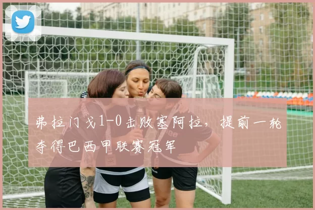 弗拉门戈1-0击败塞阿拉，提前一轮夺得巴西甲联赛冠军