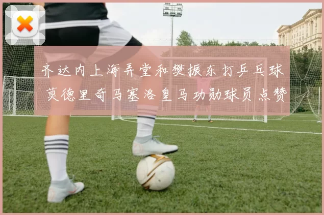 齐达内上海弄堂和樊振东打乒乓球 莫德里奇马塞洛皇马功勋球员点赞