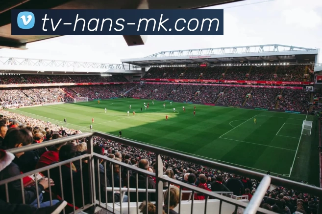 mk体育品牌故事